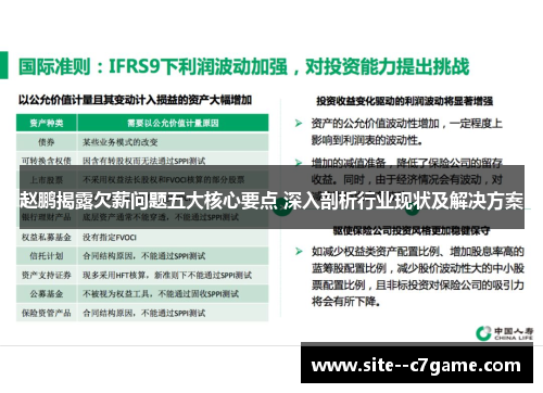 赵鹏揭露欠薪问题五大核心要点 深入剖析行业现状及解决方案 赵鹏揭露欠薪问题五大核心要点 深入剖析行业现状及解决方案